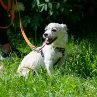 Meggie 0769/23