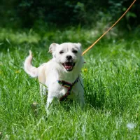 Meggie 0769/23