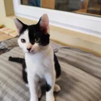 Reginka 0504/23