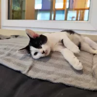 Reginka 0504/23