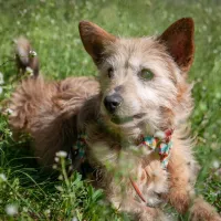 Tobi 0119/24