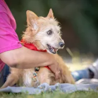 Tobi 0119/24