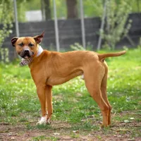 Oskar 0173/24