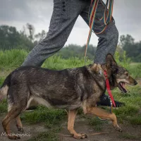 Lutka (i Todzia) 0257/24