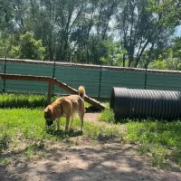 Pumba 0378/24