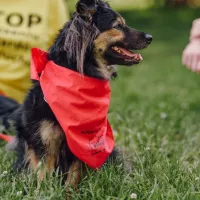 Mika i Batman 0486/24