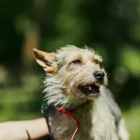 TOTO 0588/24