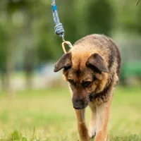 Wojtek 0638/24