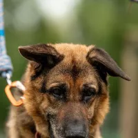 Wojtek 0638/24