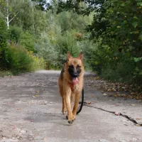 BAJKA 0640/24