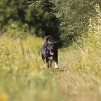 Bilbo 0647/24