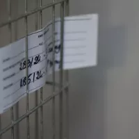 Naklejka 0283/24