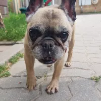 Fiona 0766/24