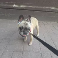 Fiona 0766/24