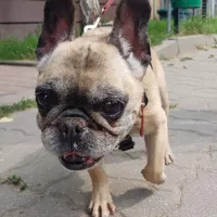Fiona 0766/24