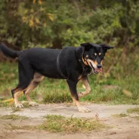 Mikka 0807/24
