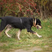 Mikka 0807/24