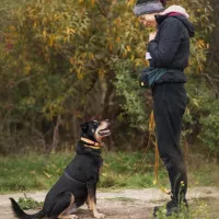Mikka 0807/24