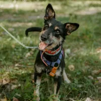 Sid 0857/24
