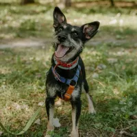 Sid 0857/24
