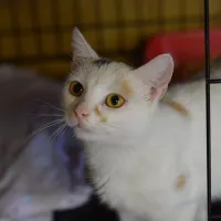 Kadra 0483/24
