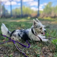Alfi 0967/24