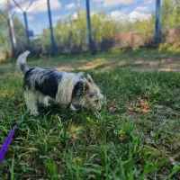 Alfi 0967/24