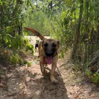 Rysia 0978/24
