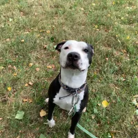 Hugo 1009/24