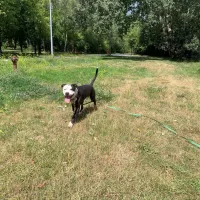 Hugo 1009/24