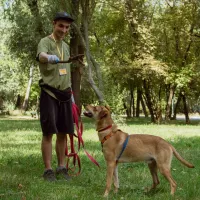 Paco 1051/24