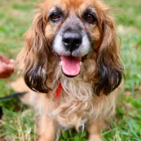 Bella 1072/24