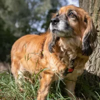 Bella 1072/24