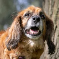 Bella 1072/24
