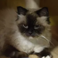 Hugo 0628/24