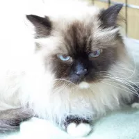 Hugo 0628/24