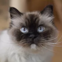 Hugo 0628/24
