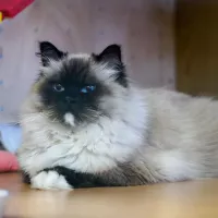 Hugo 0628/24