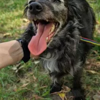 Charlie 1116/24