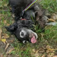Charlie 1116/24