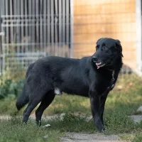 Rupert 1226/24