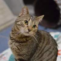 Milo 0821/24