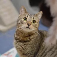 Milo 0821/24