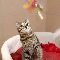 Milo 0821/24