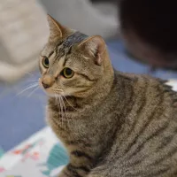 Milo 0821/24