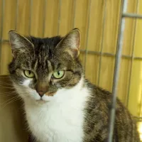 Bibi 0872/24