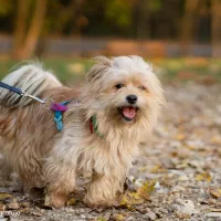 Toto 1319/24