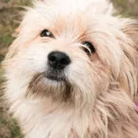 Toto 1319/24