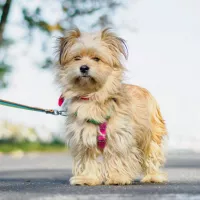 Toto 1319/24