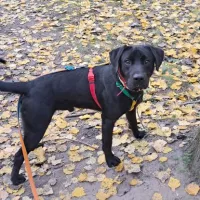Otis 1320/24